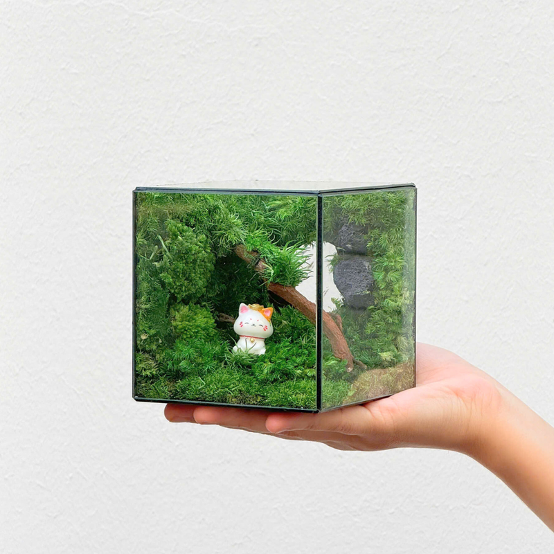 Cát Tường (10x10x10cm) - Mèo thần tài ngẫu nhiên