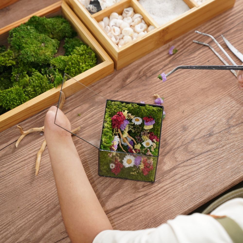 [LILFOREST - CHUYỂN ĐỘNG 24H) Khiếm khuyết không giới hạn sự tỏa sáng