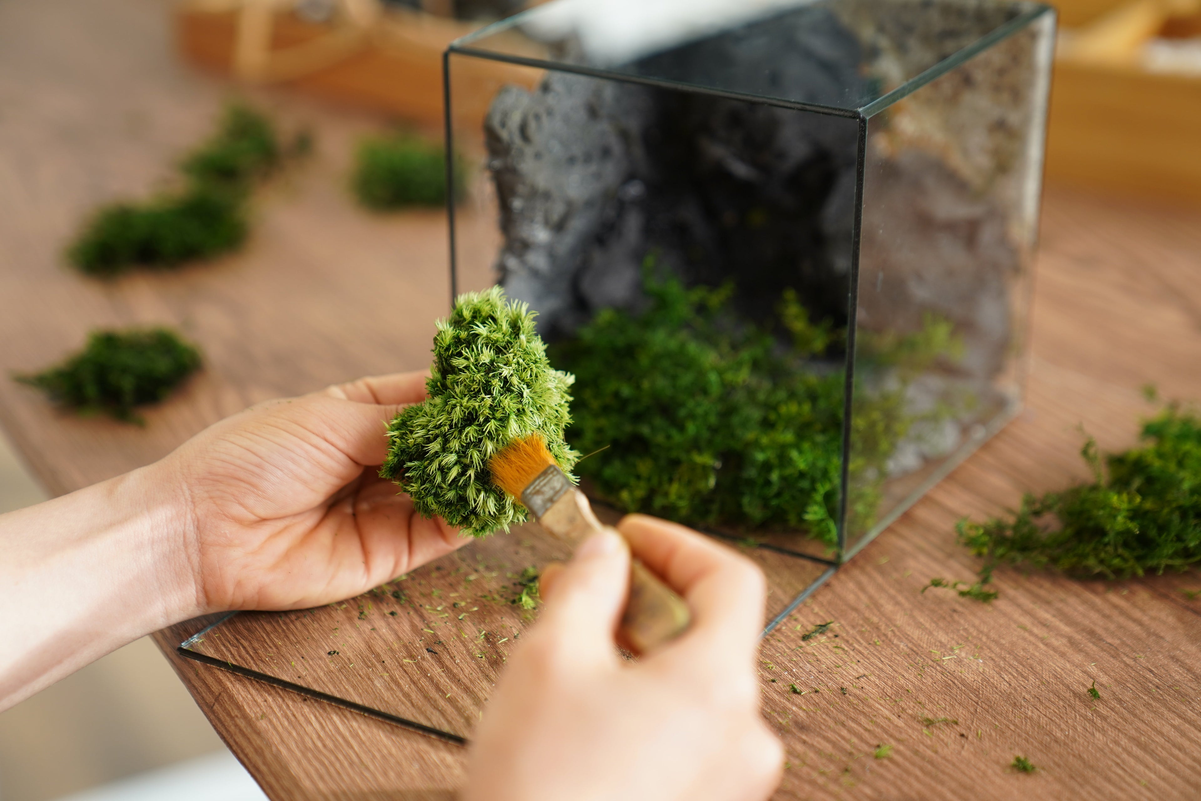 Vẻ Đẹp Bền Lâu — Lý Do LilForest Lựa Chọn Rêu Bảo Tồn