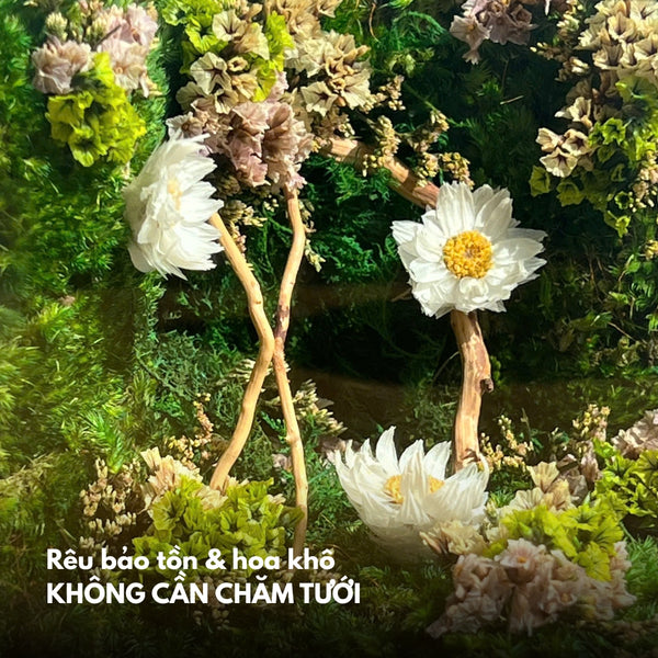 Vườn nhỏ (10x10x10cm)