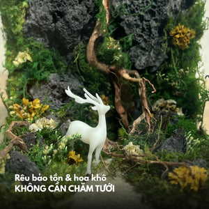 Vườn xanh (10x10x10cm)