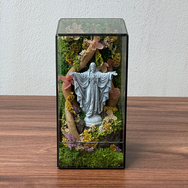 #BìnhancủaChúa20