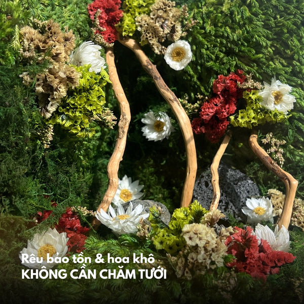 Đức Mẹ Ban Ơn Yêu Thương (15x15x15cm)