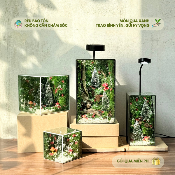 Rừng đông - Snowlight