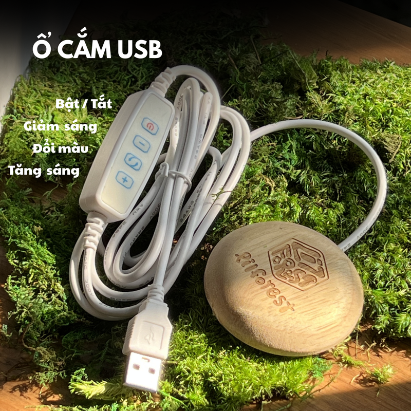 Đèn led gỗ 3 màu