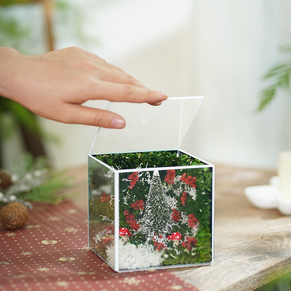 #SươngTuyếtSize10cm