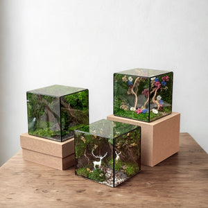 Giấc Mơ Xanh 15x15x15