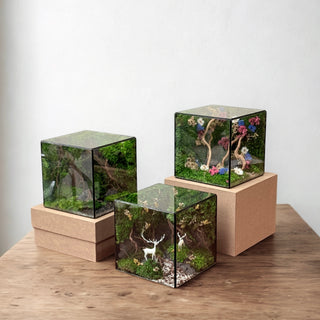 Giấc Mơ Xanh 15x15x15