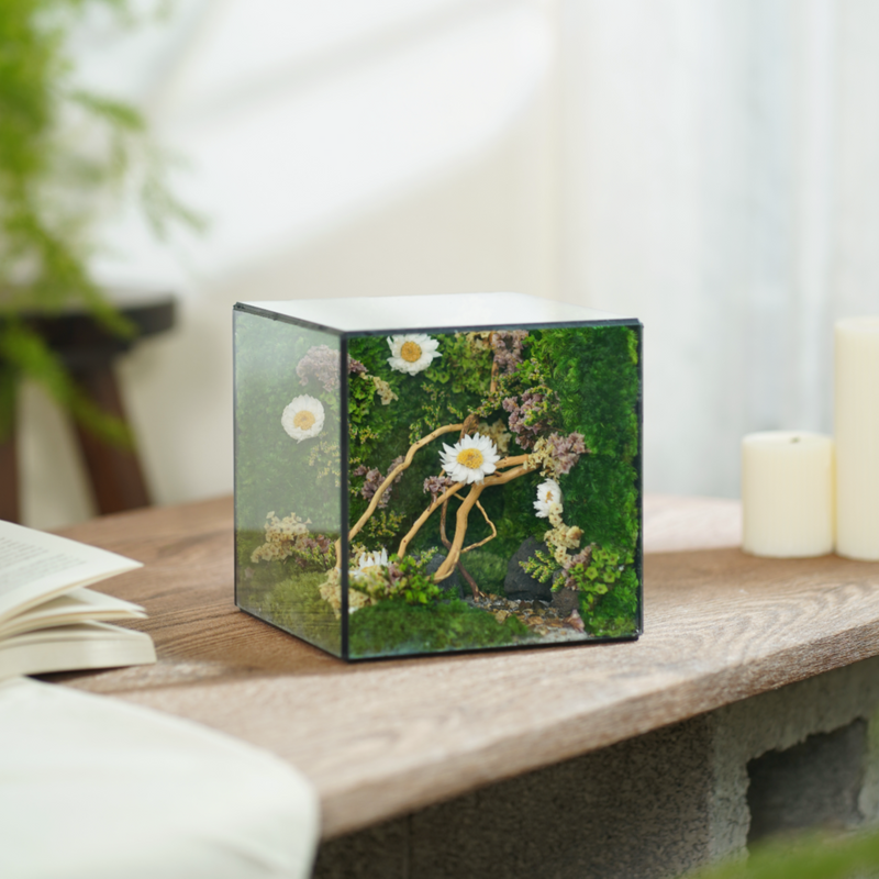Ươm Mầm (15x15x15cm)