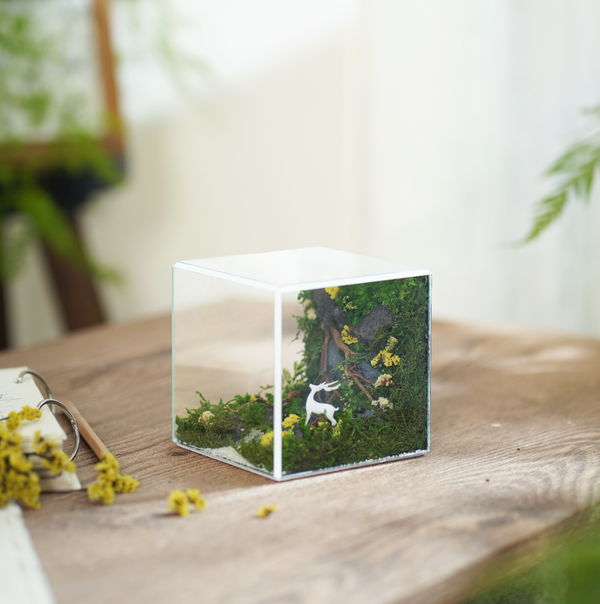 #10x10x10cm