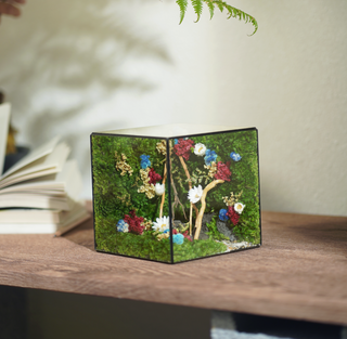 #BểChânMây(15x15x15cm)