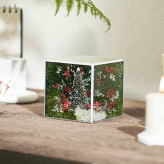 #SươngTuyếtSize10cm