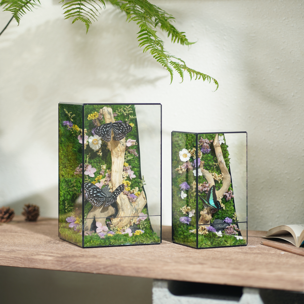 Trang chủ Lilforest