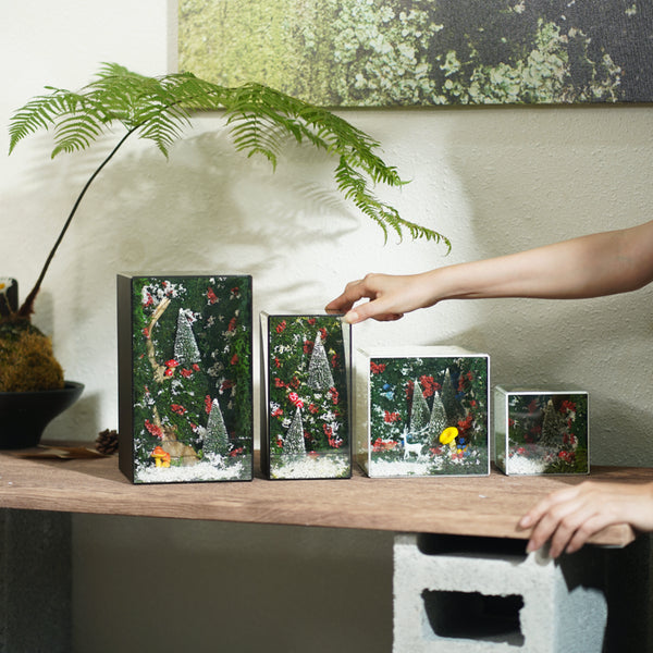 Rừng Đông - Snowlight