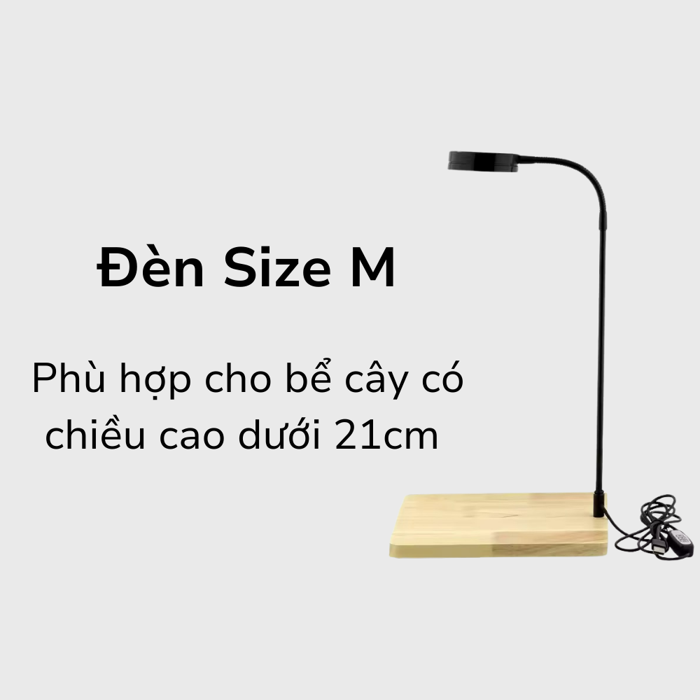 ĐÈN SIZE M (cho bể cây chiều cao <21cm)