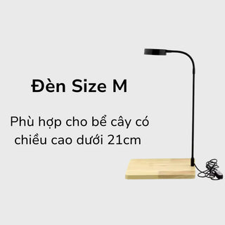 #ĐènSizeM