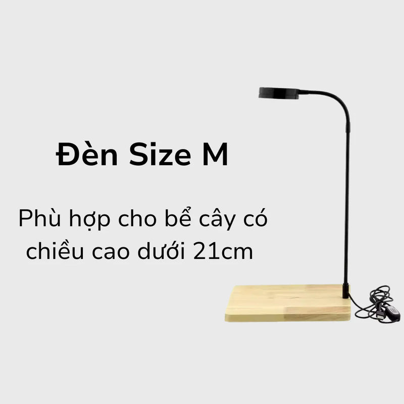 ĐÈN SIZE M