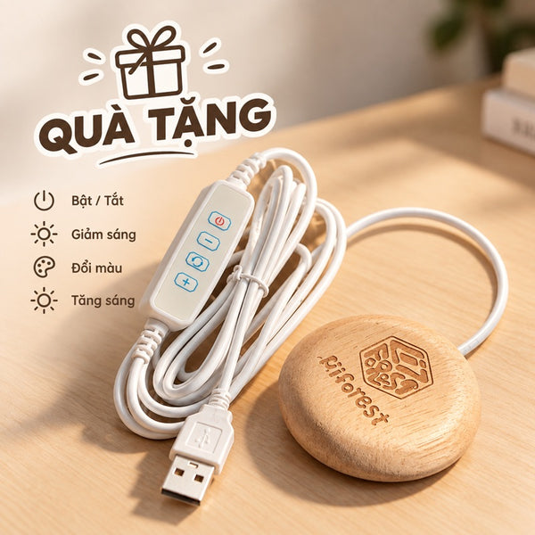 Phật An Yên Size 25