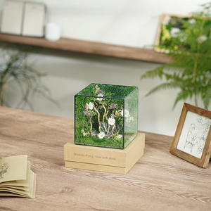#BểƯơmMầm(10x10x10cm)