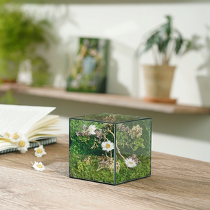 #BểƯơmMầm(10x10x10cm)