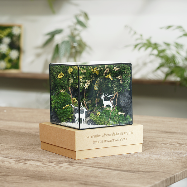 #BểRừngXanh(15x15x15cm)