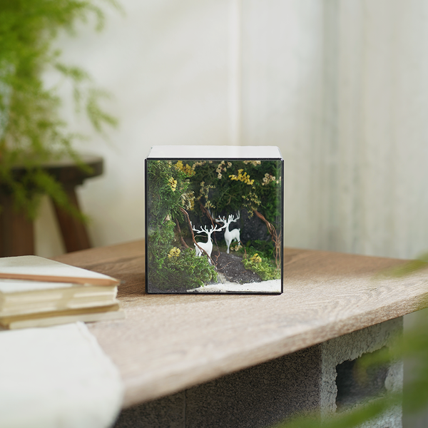#BểRừngXanh(15x15x15cm)
