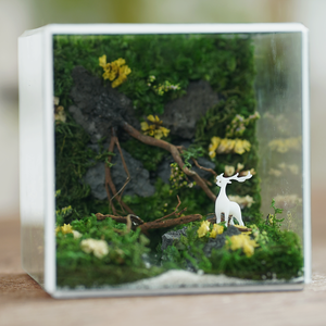 #BểRừngXanh(10x10x10cm)