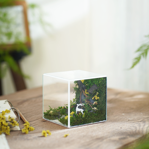 #BểRừngXanh(10x10x10cm)