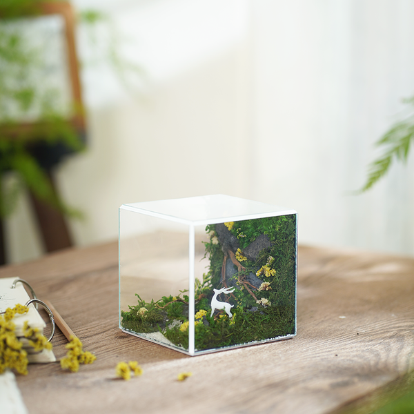 #BểRừngXanh(10x10x10cm)