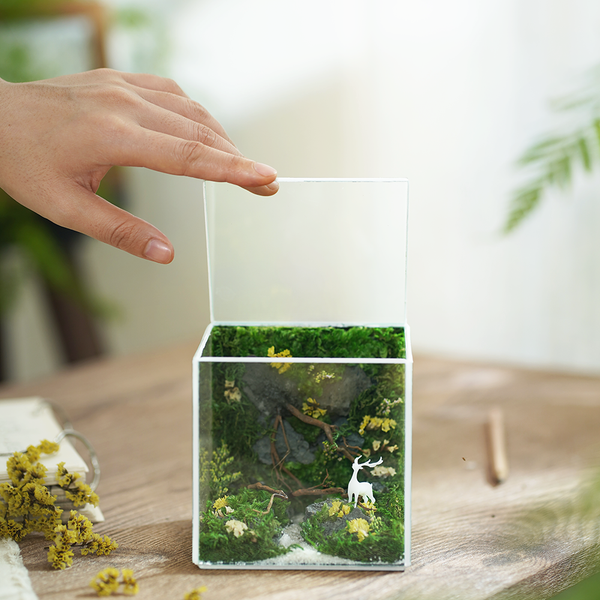 #BểRừngXanh(10x10x10cm)