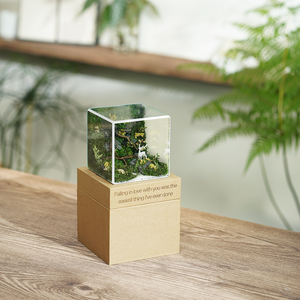 #BểRừngXanh(10x10x10cm)