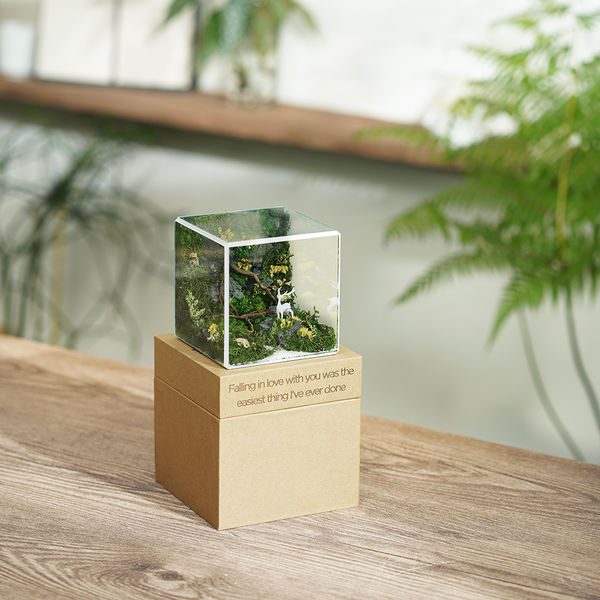 #BểRừngXanh(10x10x10cm)