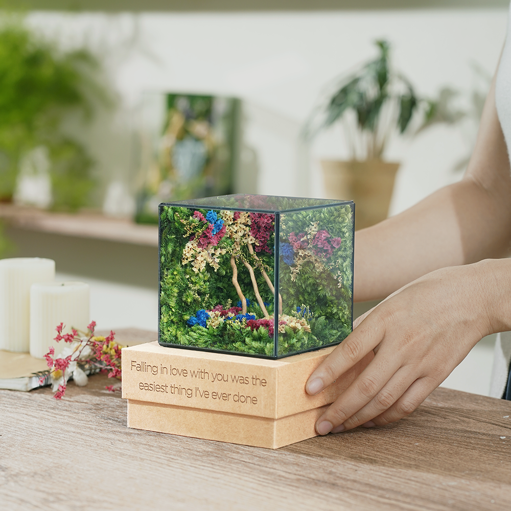 #BểChânTrời(10x10x10cm)