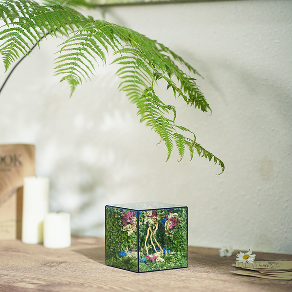 #BểChânTrời(10x10x10cm)