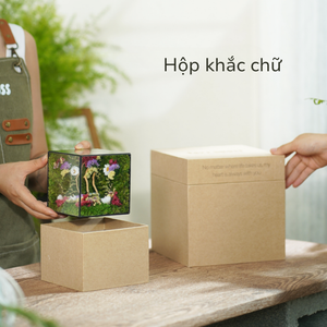 #PhậtThiền22x22x31cm