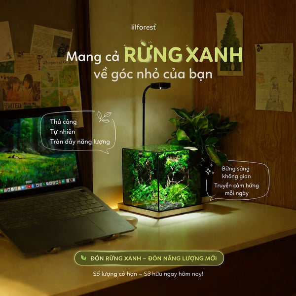 Bàn làm việc