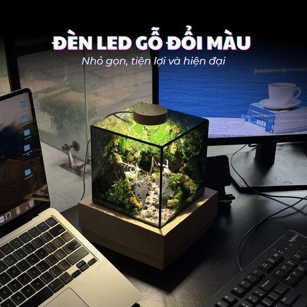 Góc Gaming