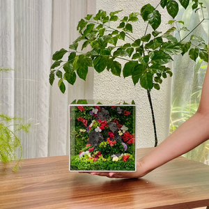#ĐồiTìnhYêuĐỏ