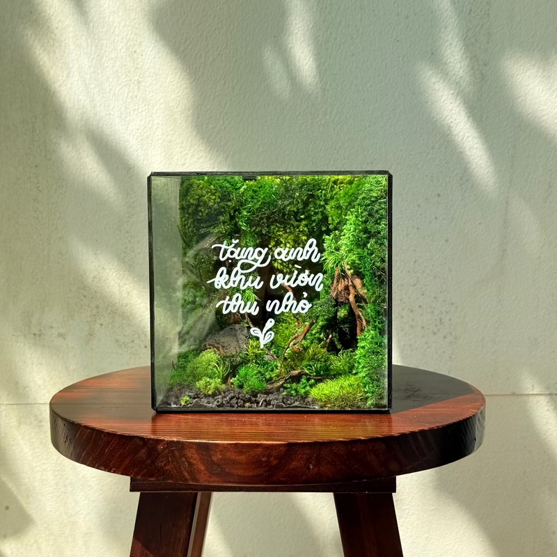 Evergreen / Xanh Tình