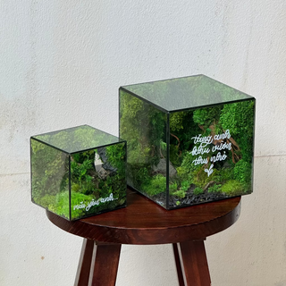 Evergreen / Xanh Tình