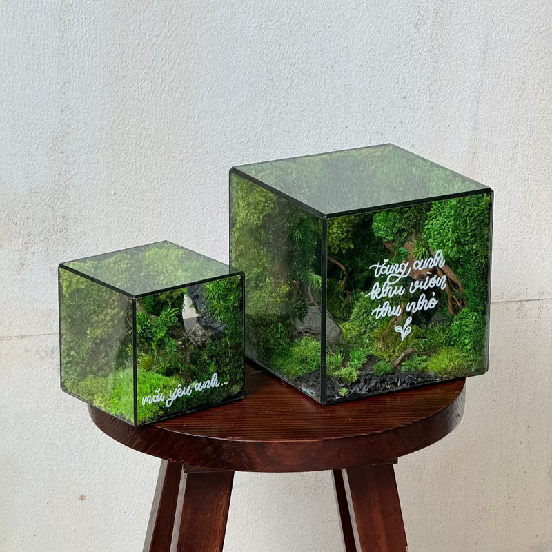 Hơi Thở Của Rừng / Deep Breath
