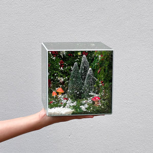 Sương Tuyết (size 15)