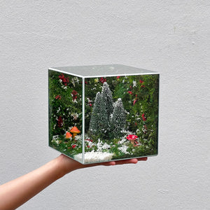 Sương Tuyết (size 15)