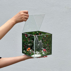 Sương Tuyết (size 15)