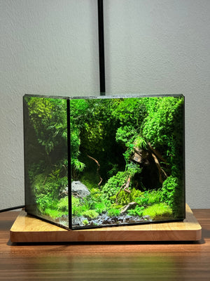 Evergreen / Xanh Tình