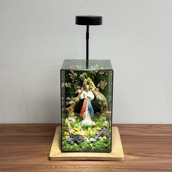 #TượngLòngThươngXót