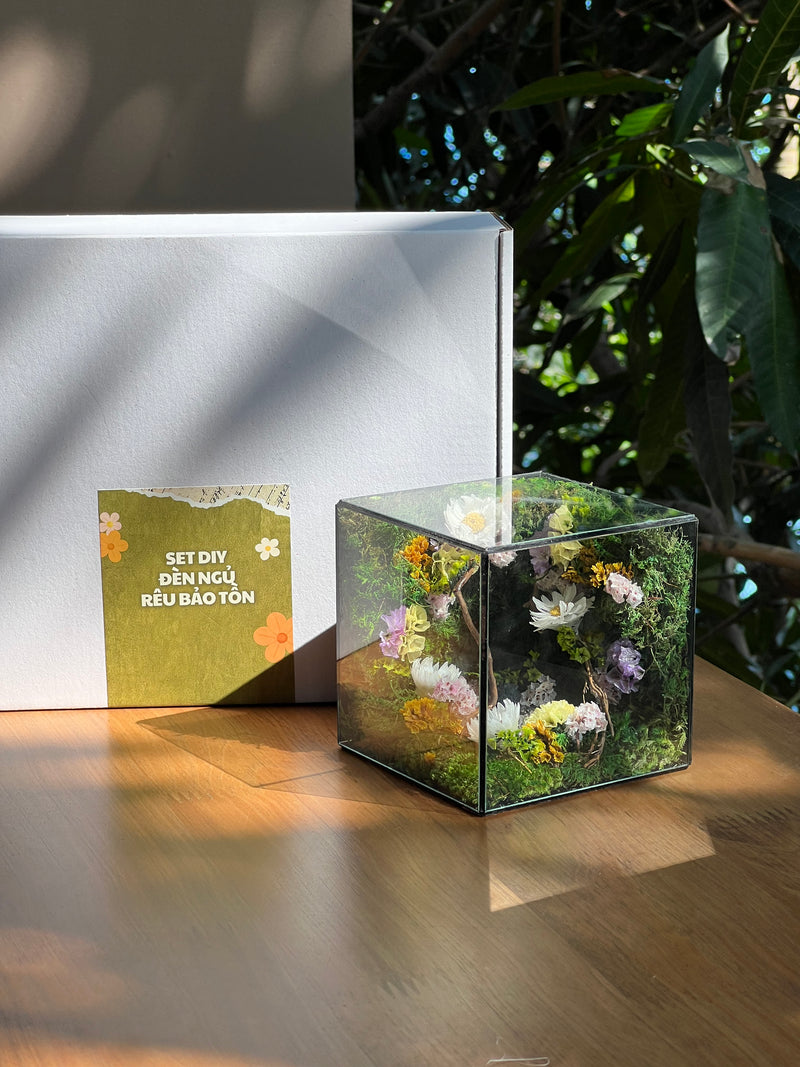SET DIY đèn ngủ rêu bảo tồn