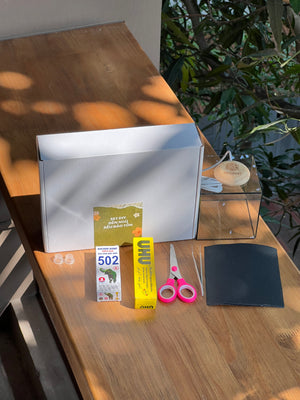 SET DIY đèn ngủ rêu bảo tồn
