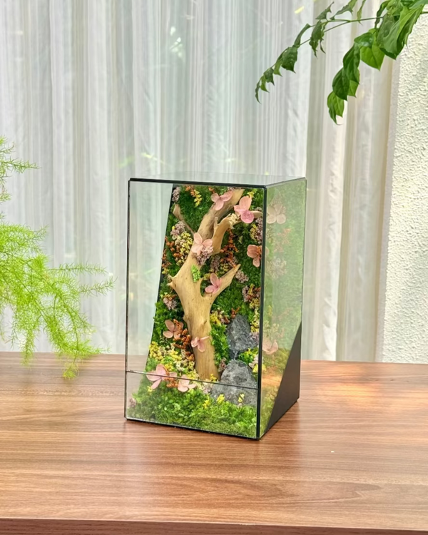 #MaiĐào(15x15x25cm)