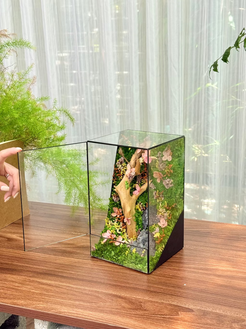 #MaiĐào(15x15x25cm)